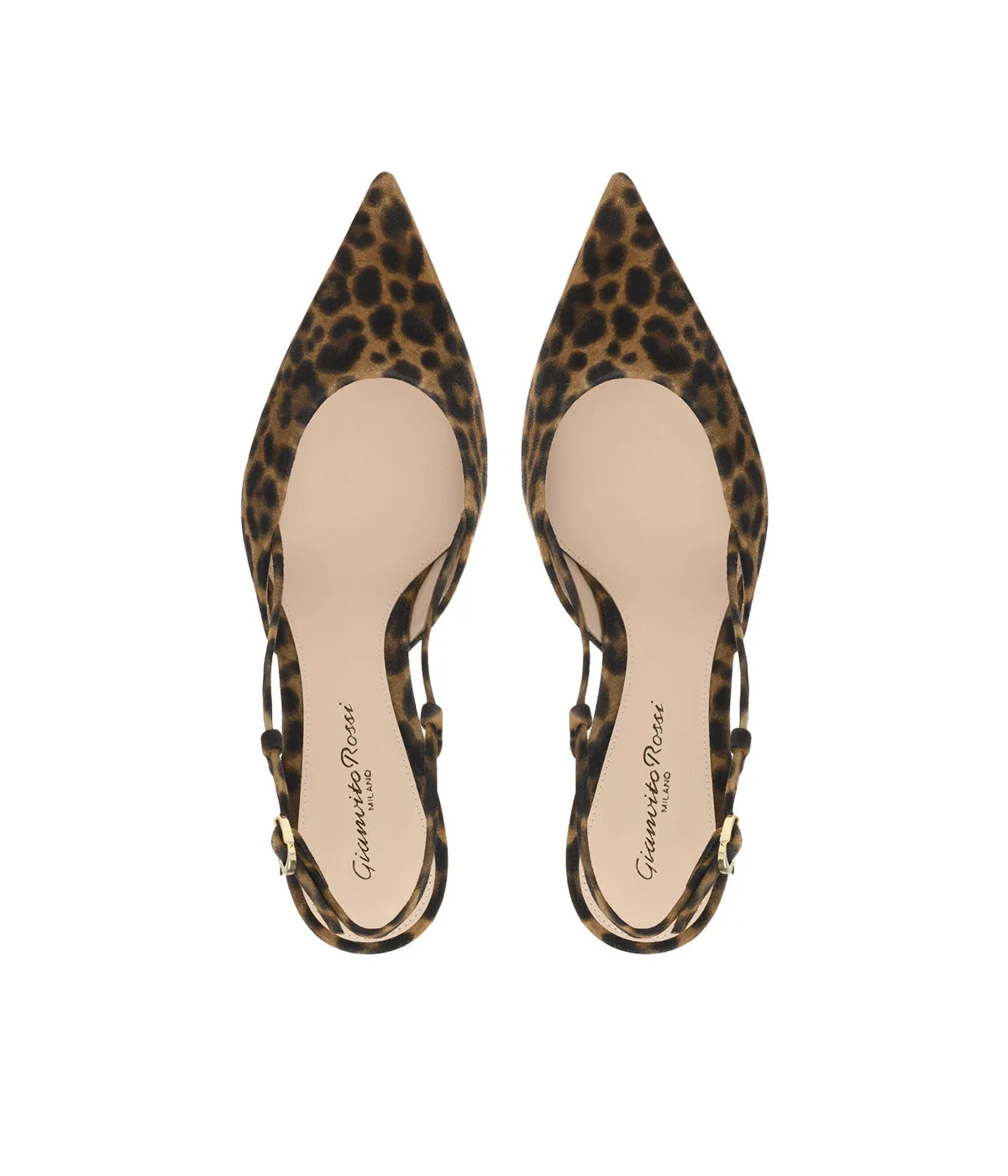 Ascent 55 in Almond Leopard