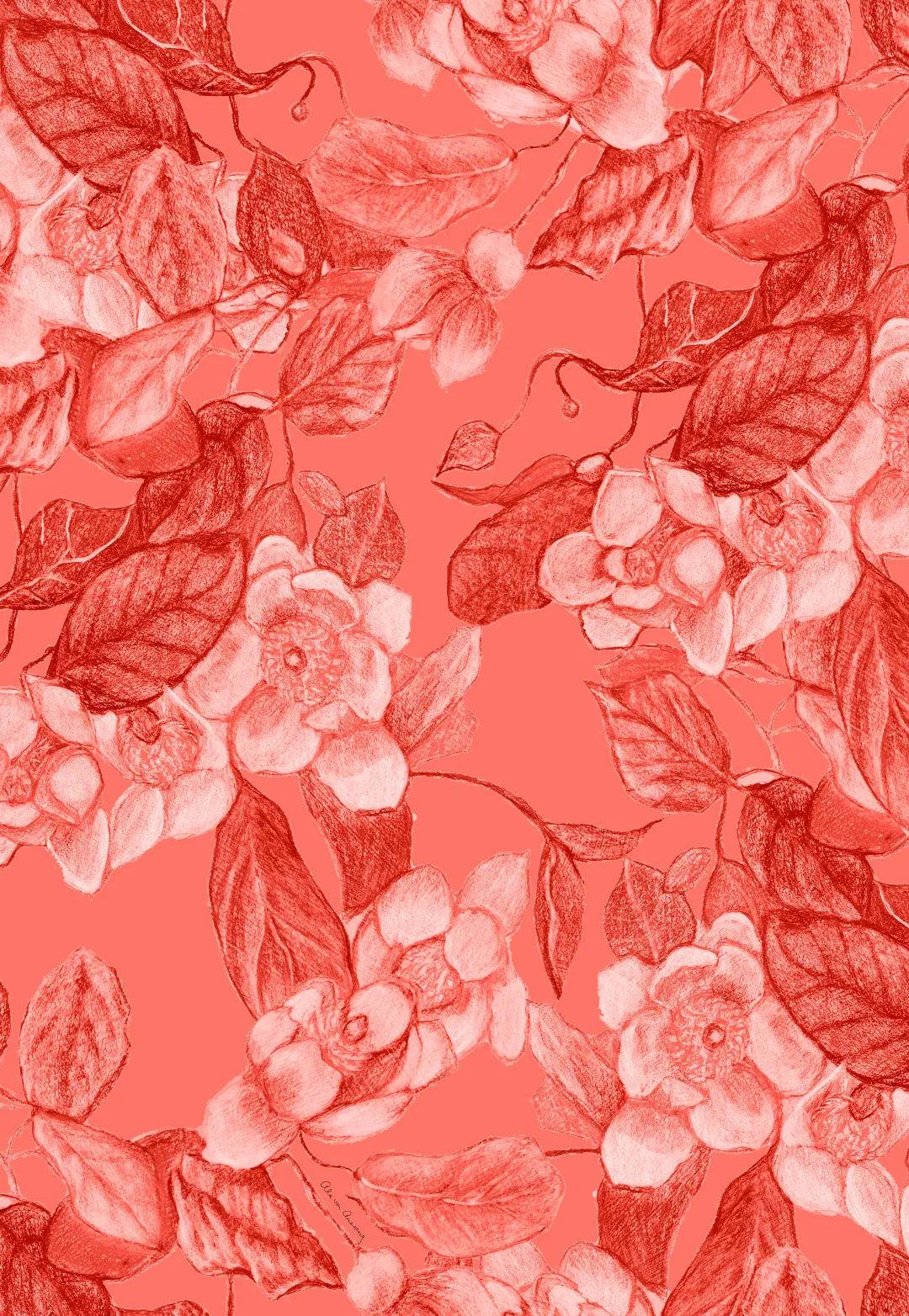 Crawford Cotton Skirt in Coral Grandiflora
