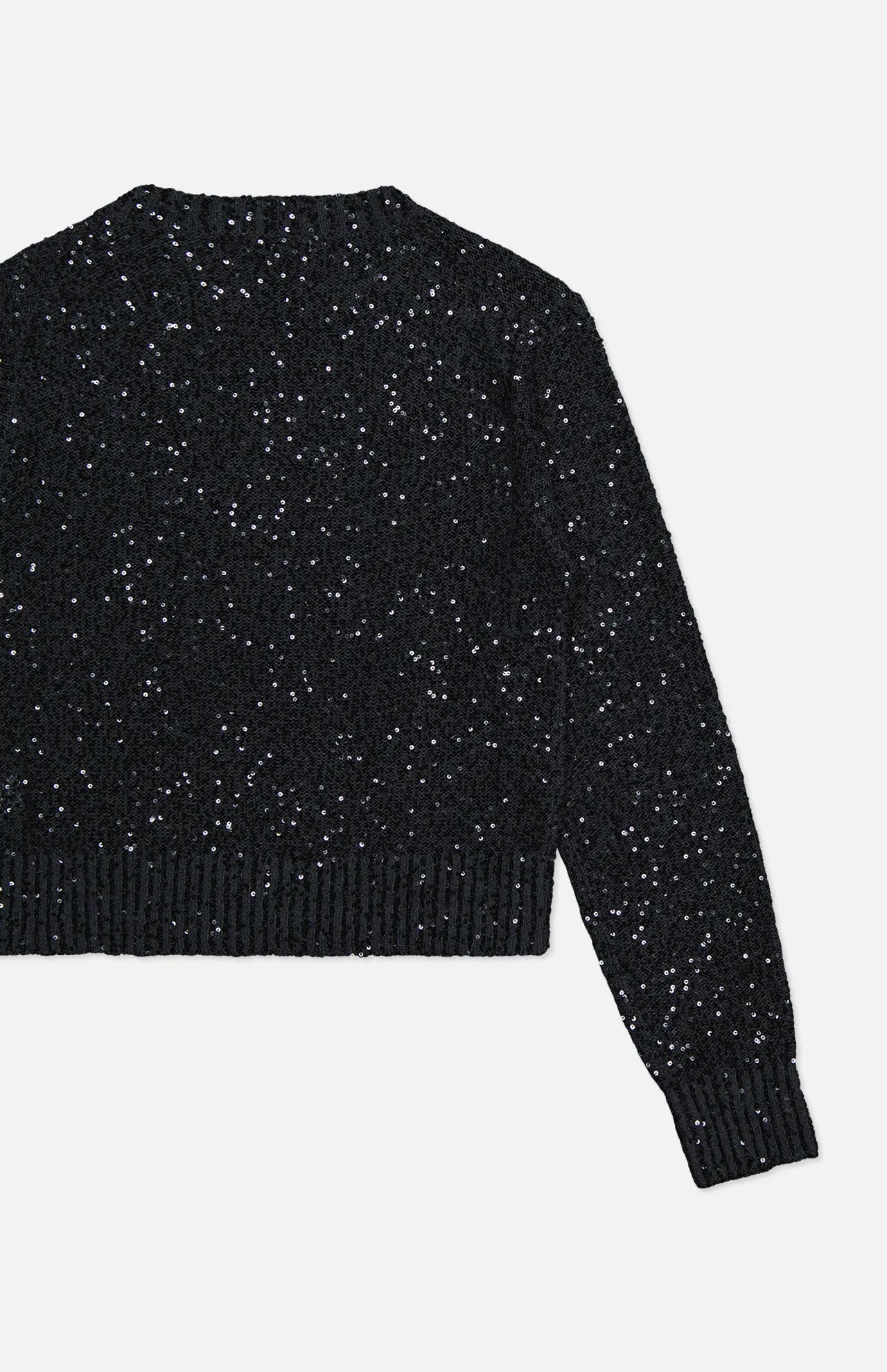 Paillette Long Sleeve Crewneck