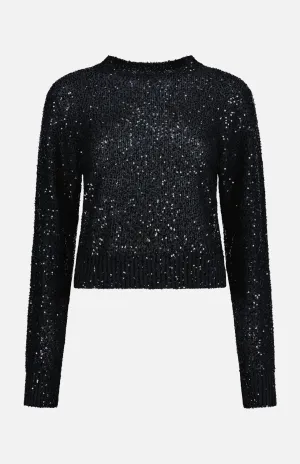 Paillette Long Sleeve Crewneck