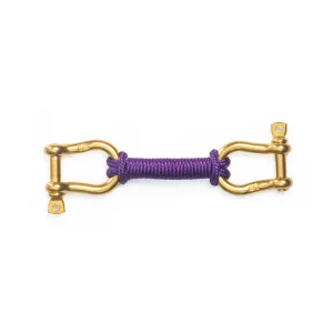 Purple Color Bar - Gold