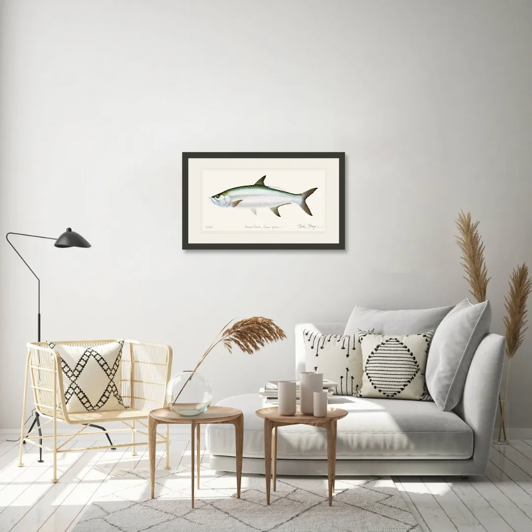 Tarpon Limited Edition Print - Best Seller