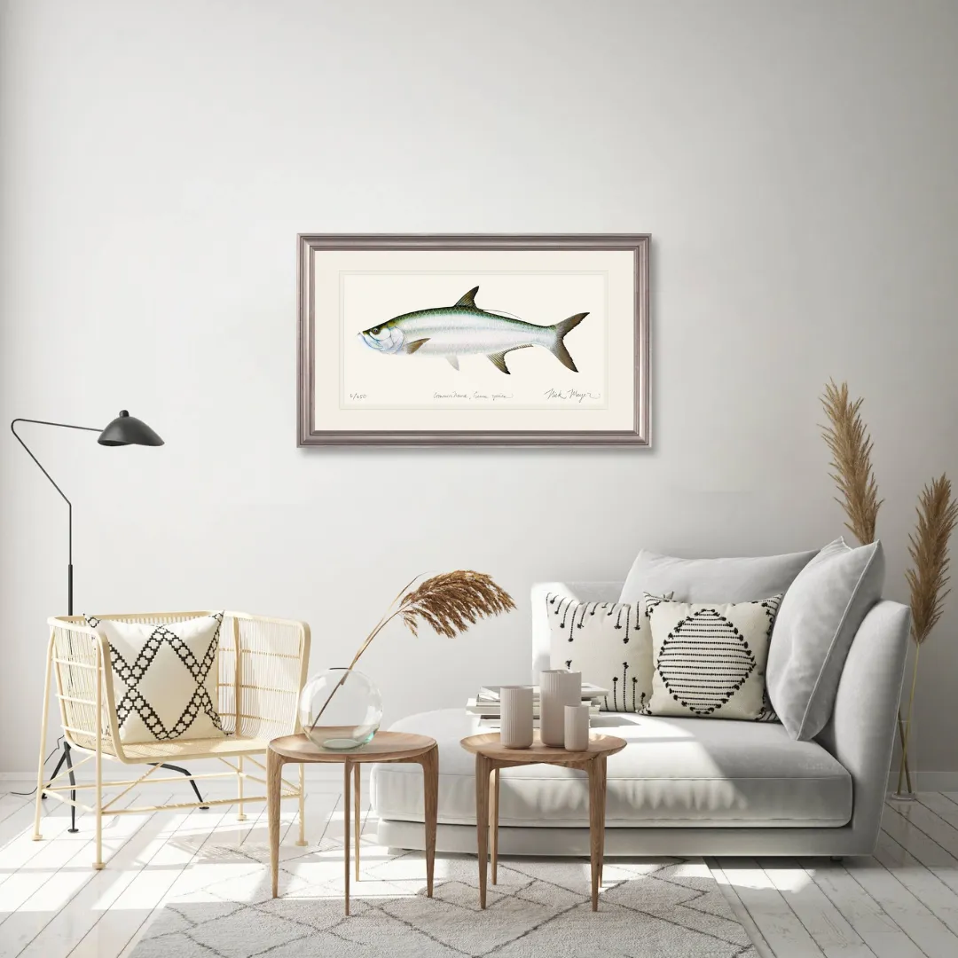 Tarpon Limited Edition Print - Best Seller