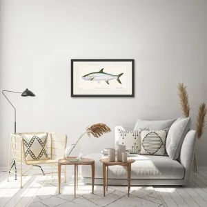 Tarpon Limited Edition Print - Best Seller